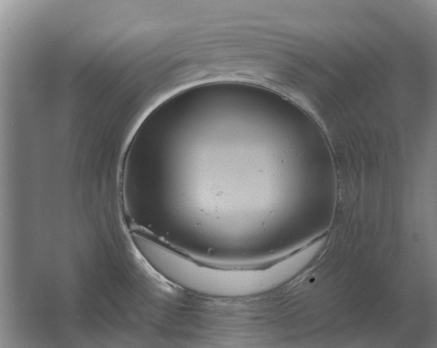 X0000062621532200601040952