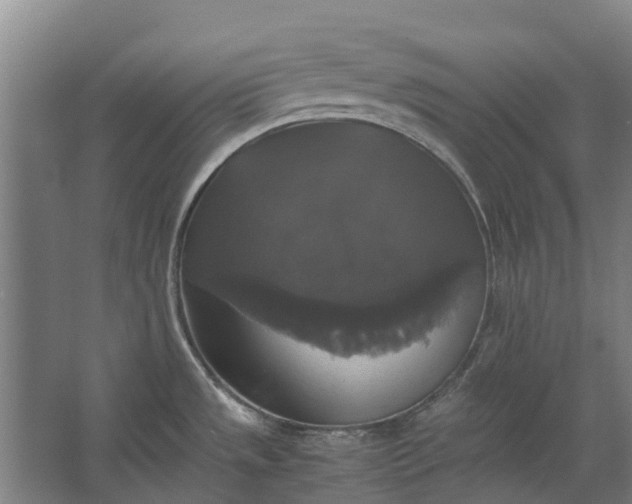 X0000062621533200601040952