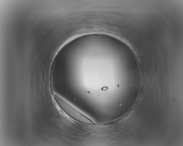 X0000062621534200601040952