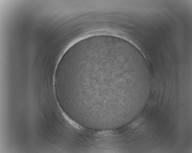 X0000062621535200601040952