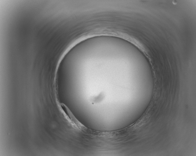 X0000062621536200601040952