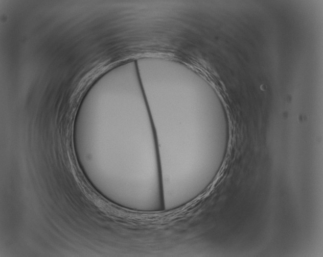 X0000062620001200601111046