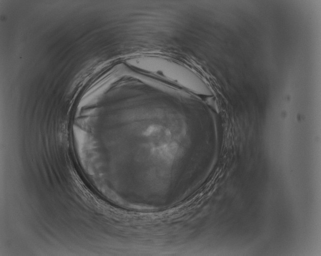 X0000062620002200601111046