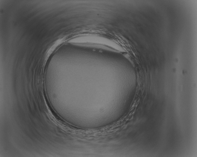 X0000062620003200601111046