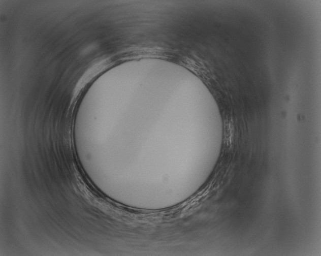 X0000062620004200601111046