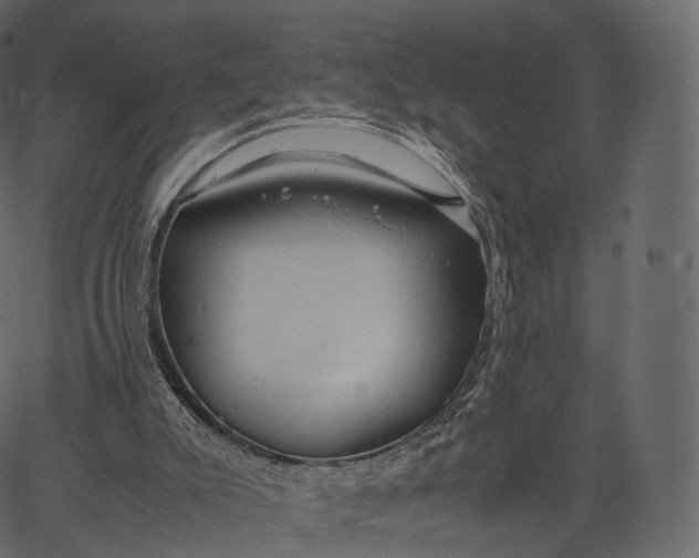 X0000062620007200601111046