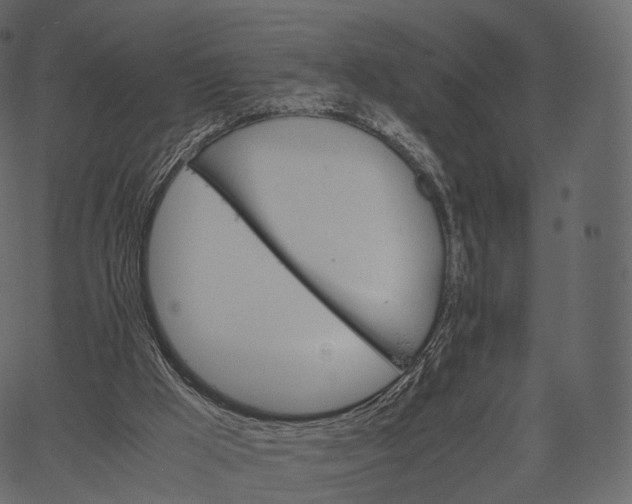 X0000062620009200601111046