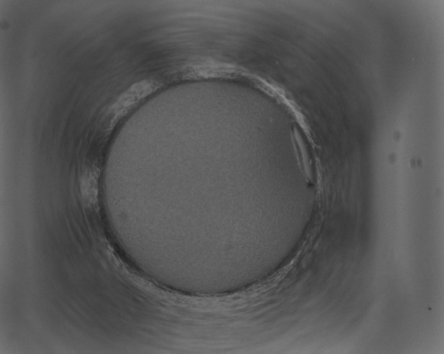 X0000062620010200601111046