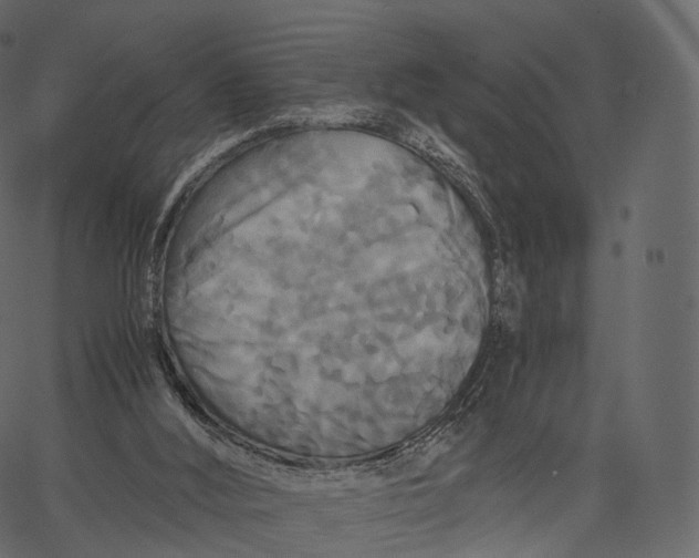 X0000062620012200601111046