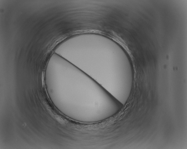 X0000062620013200601111046