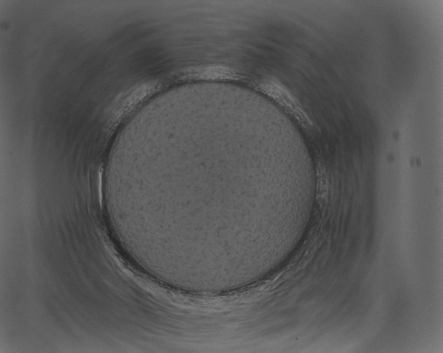 X0000062620014200601111046