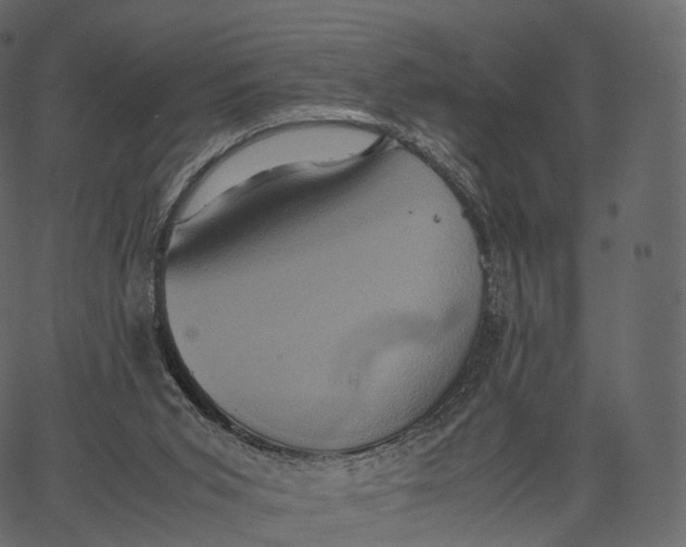 X0000062620015200601111046