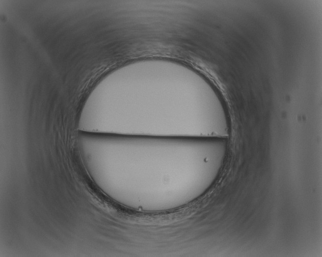 X0000062620017200601111046