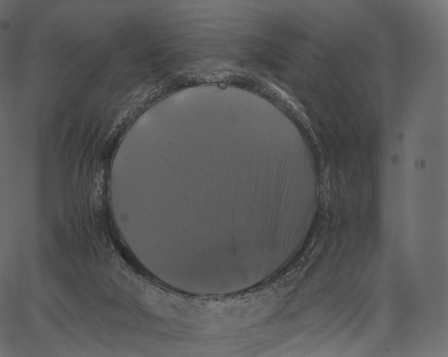 X0000062620018200601111046