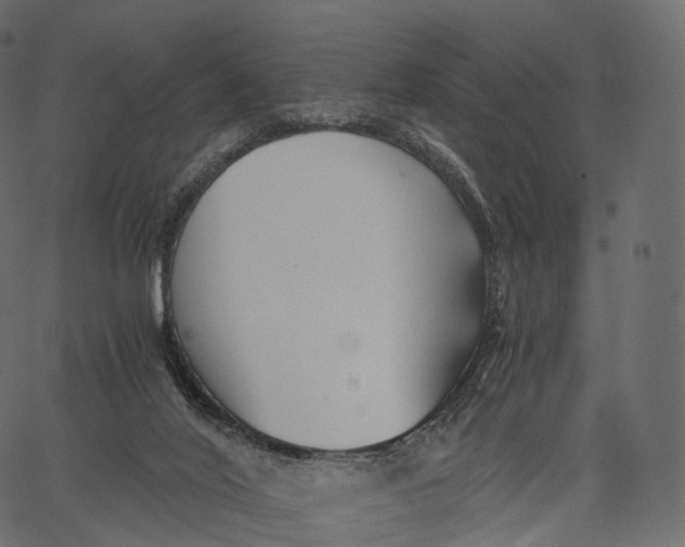 X0000062620020200601111046