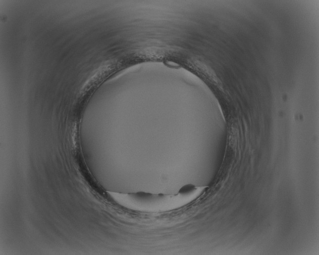 X0000062620023200601111046