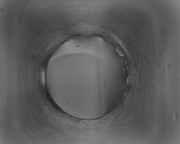 X0000062620027200601111046