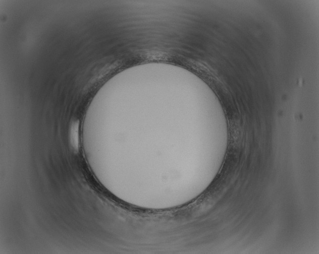 X0000062620028200601111046