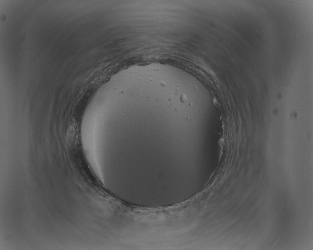 X0000062620029200601111046