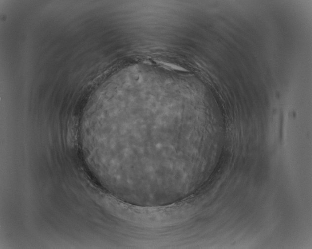 X0000062620030200601111046