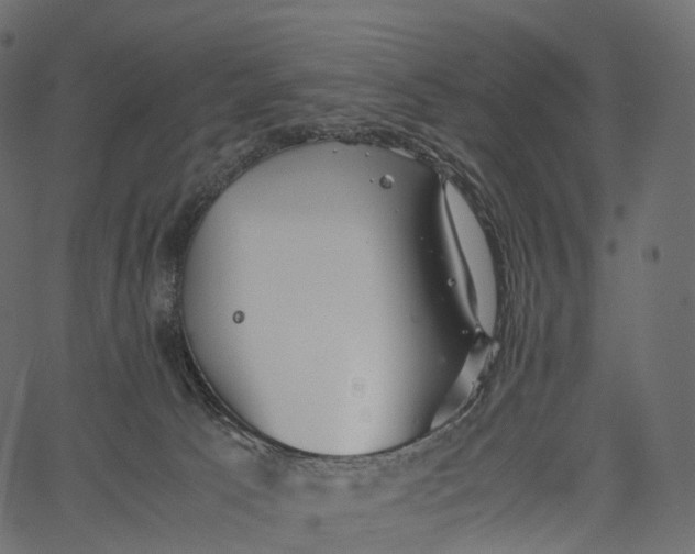 X0000062620033200601111046