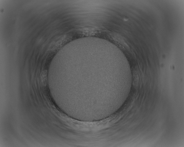 X0000062620034200601111046