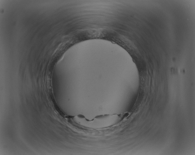 X0000062620035200601111046