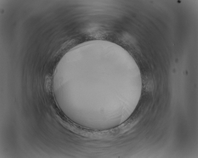 X0000062620036200601111046