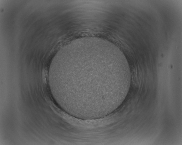 X0000062620038200601111045