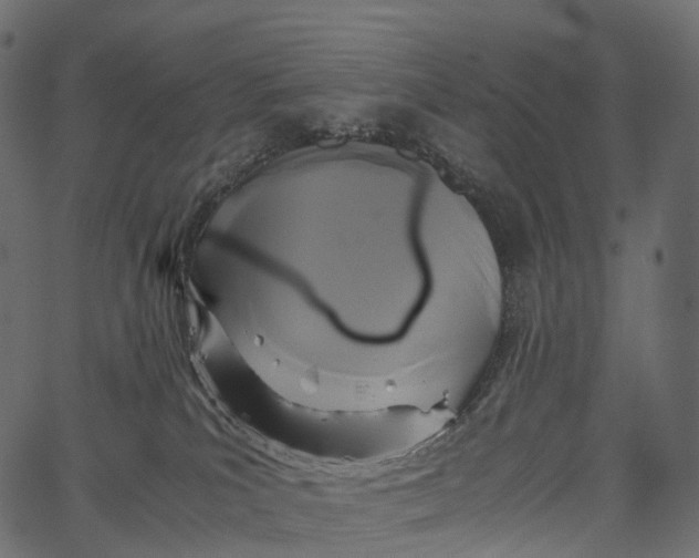 X0000062620039200601111045