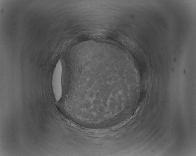 X0000062620041200601111045