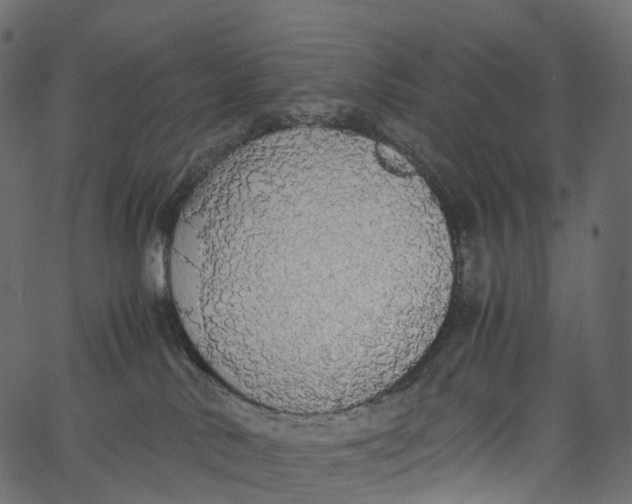 X0000062620042200601111045