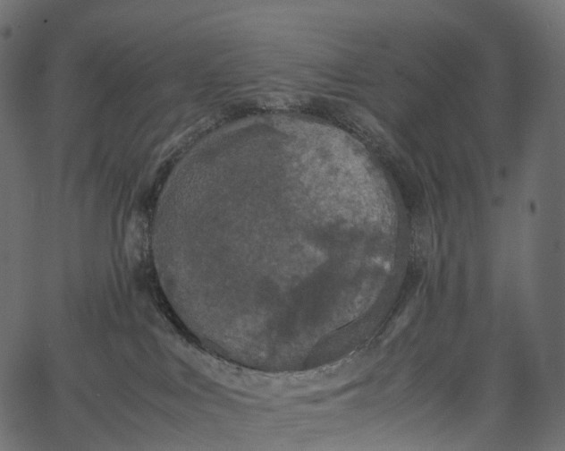 X0000062620043200601111045