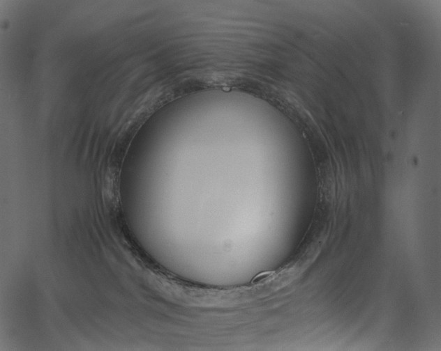 X0000062620044200601111045