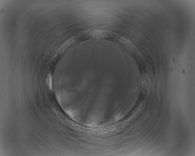 X0000062620046200601111045