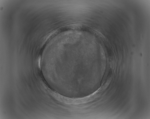 X0000062620047200601111045