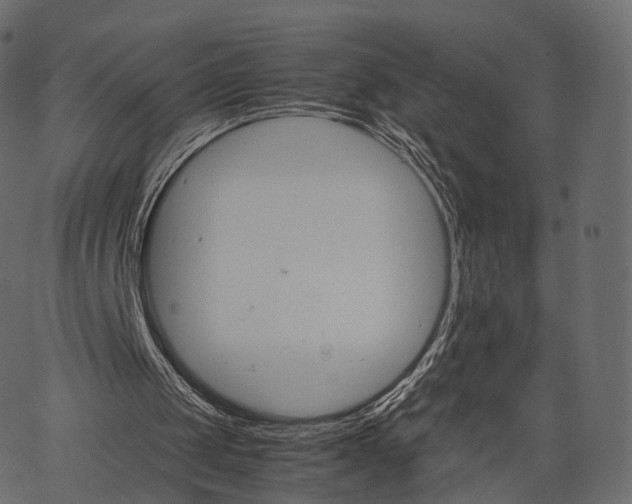 X0000062620049200601111045