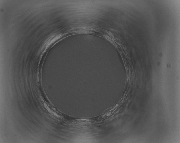 X0000062620050200601111045