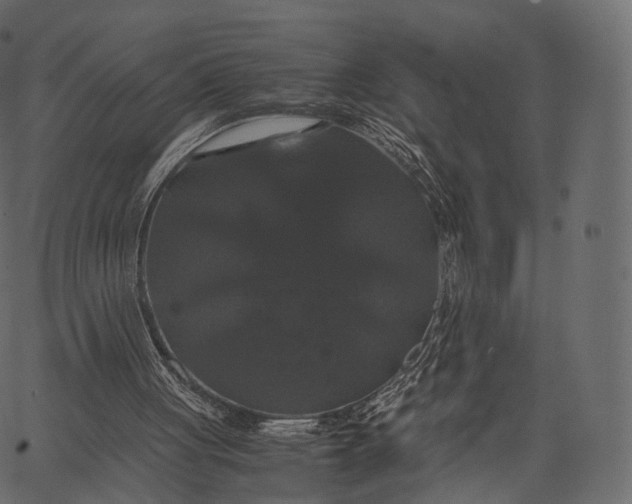 X0000062620051200601111045