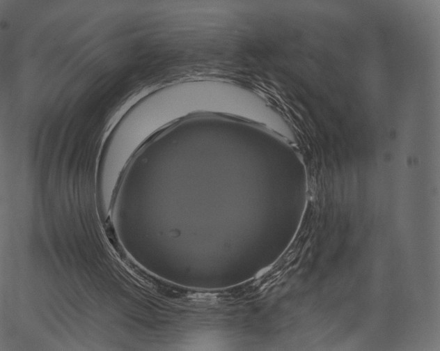 X0000062620052200601111045