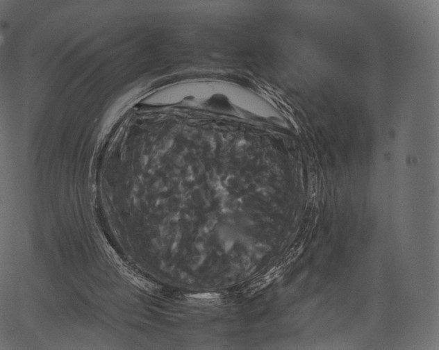 X0000062620053200601111045