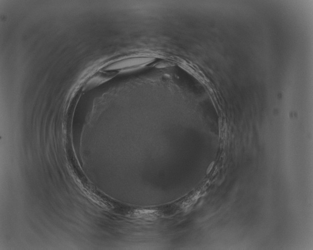 X0000062620055200601111045