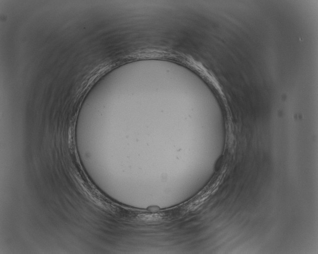 X0000062620057200601111045