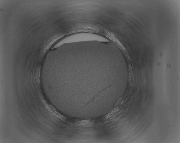 X0000062620058200601111045