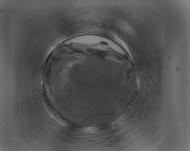 X0000062620059200601111045