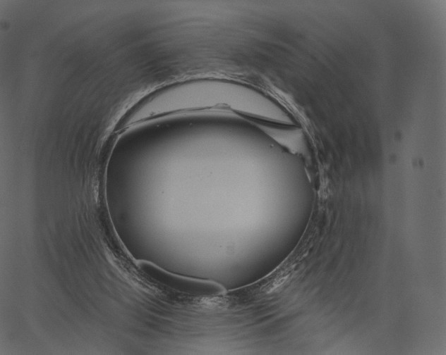 X0000062620060200601111045