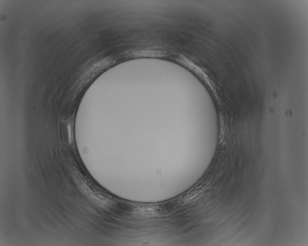 X0000062620061200601111045