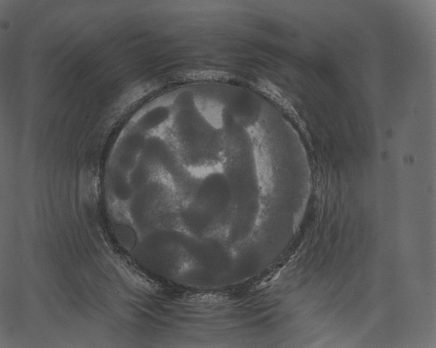 X0000062620063200601111045