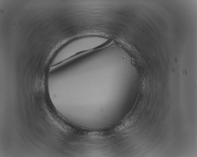 X0000062620064200601111045