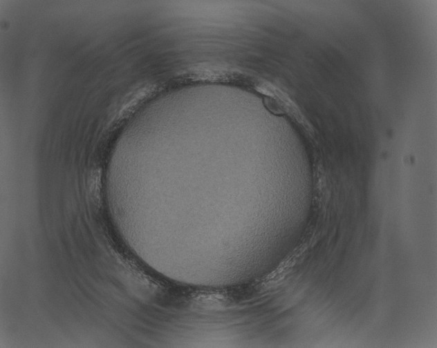 X0000062620066200601111045